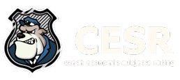 CESR - Czech Economic Subjects Rating